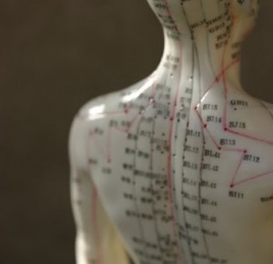 acupuncture-mannequin