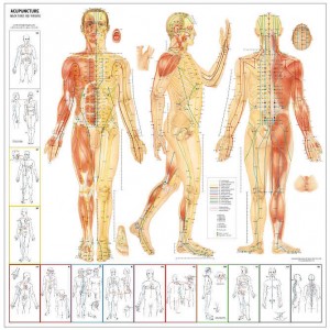 chinese_acupuncture-points